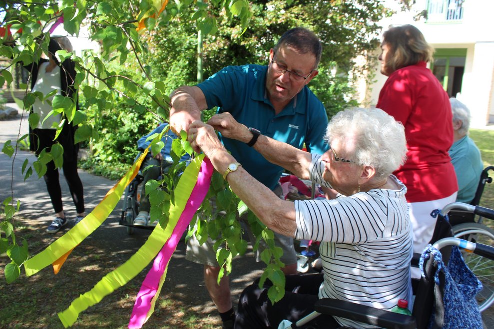 Unseren lebenden Maibaum im Innenhof schmücken