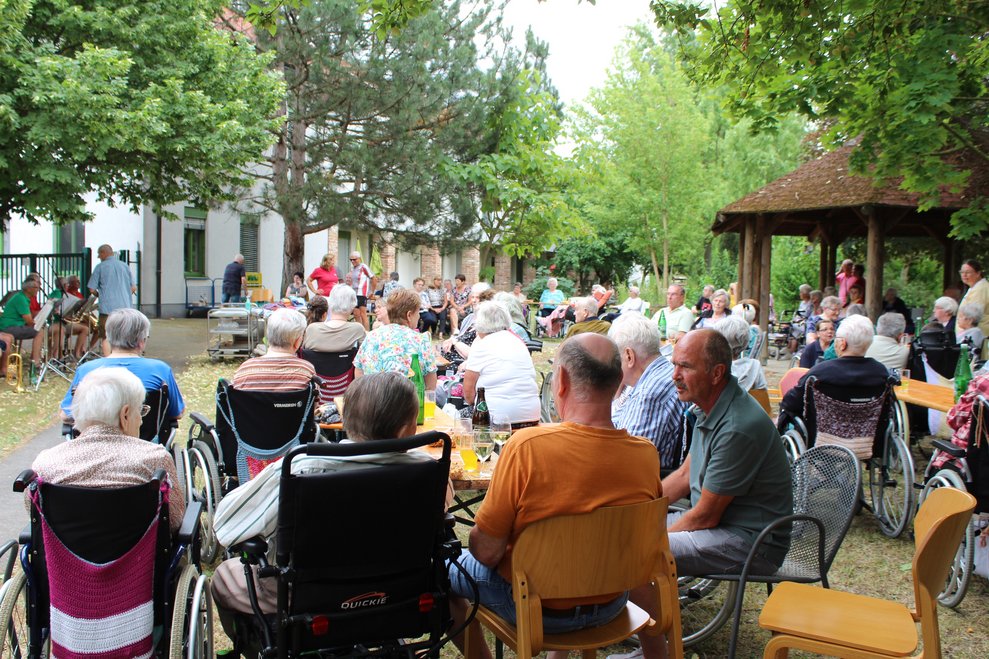 Unter den Bäumen die Natur und Musik genießen